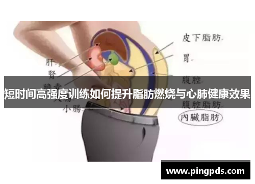 短时间高强度训练如何提升脂肪燃烧与心肺健康效果