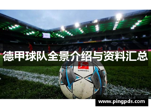 德甲球队全景介绍与资料汇总