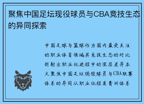 聚焦中国足坛现役球员与CBA竞技生态的异同探索