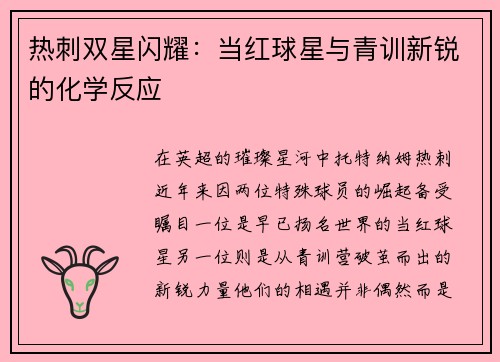 热刺双星闪耀：当红球星与青训新锐的化学反应